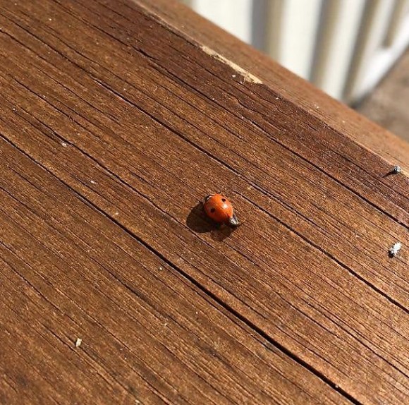 91616109_499679980728008_1213762224615587840_n (2)