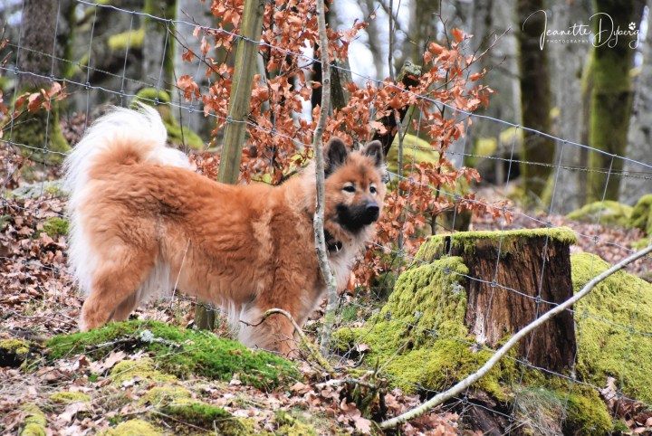 DSC_1655 (2)