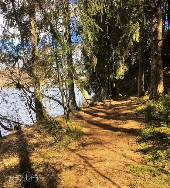 92381474_307118443589918_6191509864754184192_n (1)