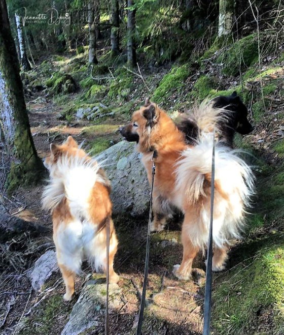 92666005_620331715218543_6378702728700362752_n (1)