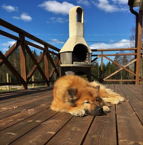 93790716_3068984663166852_2310295820852789248_n