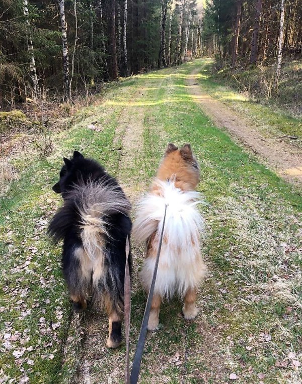 93800346_1616251835179723_4780453829156012032_n