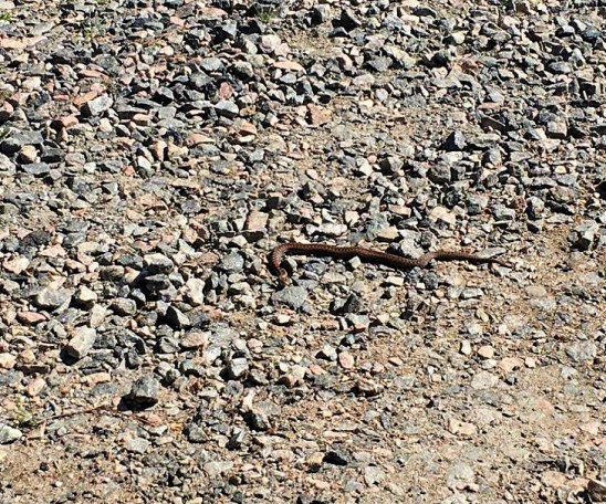 93998071_268004577703188_482898330028867584_n (1)