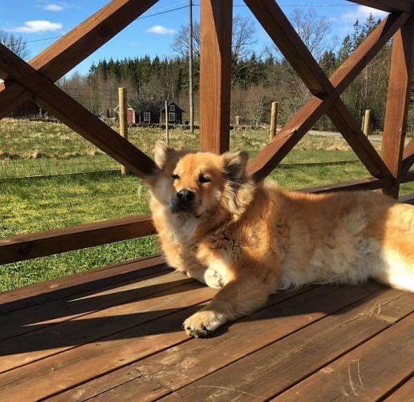 94066205_315560146075136_5167224202620567552_n