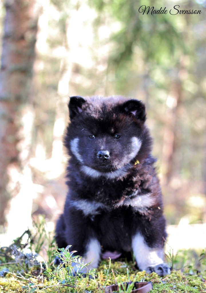 94104866_268092581027056_1445621962461151232_n1