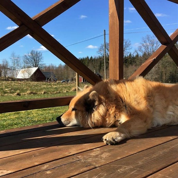 94116932_242138127158345_5447666153797189632_n