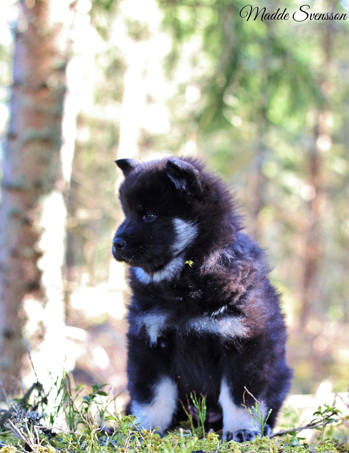 94119718_228526318240037_7187288634943340544_n (1)