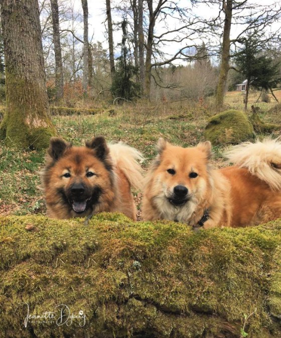 94261118_3000890553301610_4555480792196710400_n