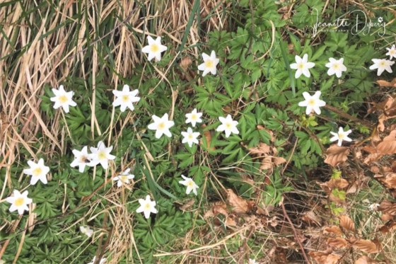 94326314_671945750224180_6658431406068203520_n