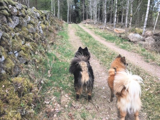 94344908_701221927296777_125726259828228096_n (1)