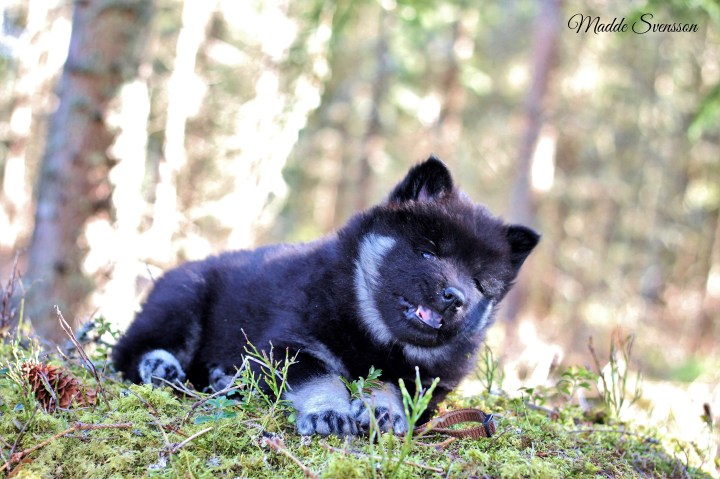 94615026_2615912315398220_6521043378023432192_n1