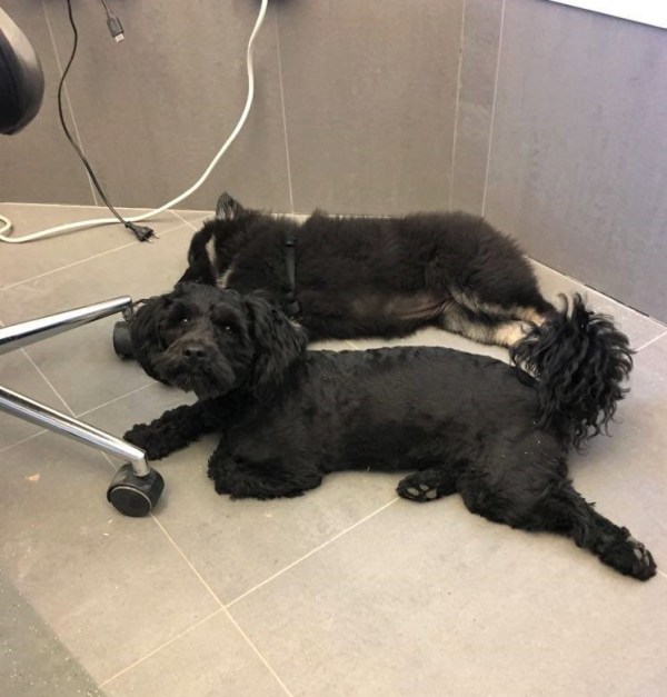 96416934_236893797407879_1388916522864345088_n (2)