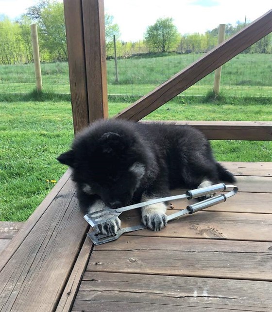 96579750_589948804967344_1438033274940162048_n