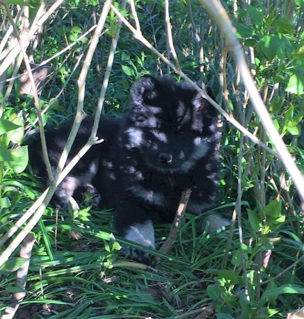 97062818_2709659359264605_5665124338018287616_n