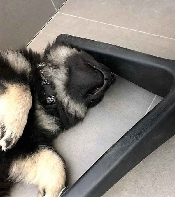 97321470_783345675528230_6975939809772568576_n