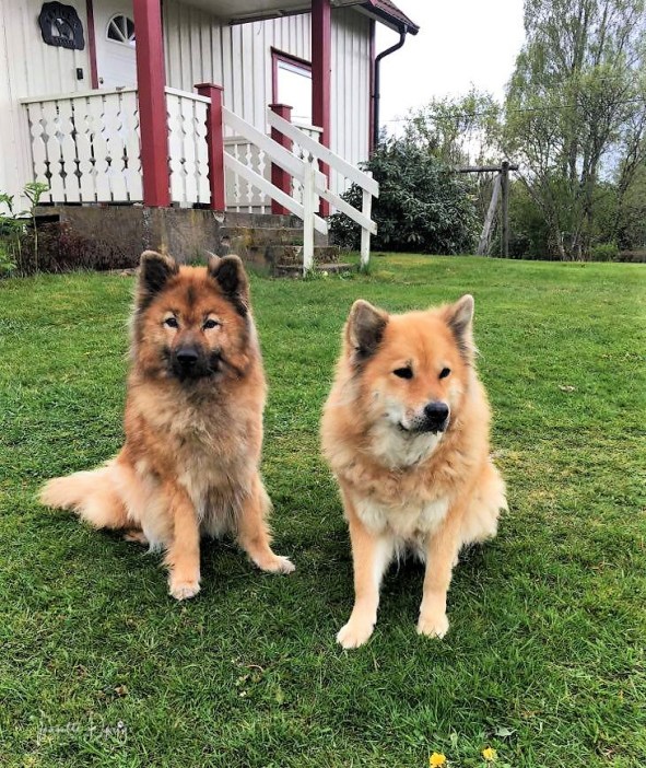 97872265_3906738782730507_6917532098542698496_n (1)