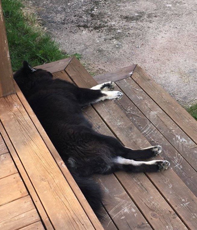 117231893_322827335427886_6760260768077621479_n (2)